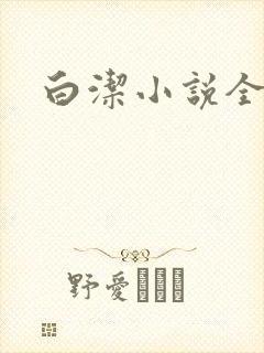 白洁小说全文