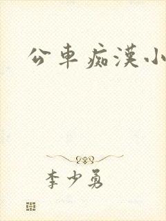 公车痴汉小说封面