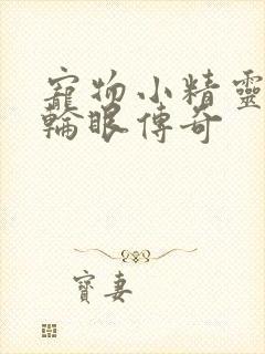 宠物小精灵之写轮眼传奇
