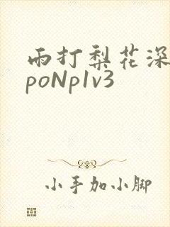雨打梨花深闭门poNp1v3封面