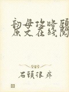 韵母攻略顾小暖原文在线阅读封面