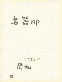 名器np封面