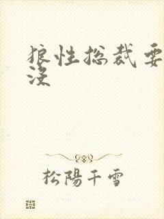 狼性总裁要够了没
