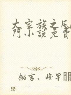 大家族之风流豪门小说免费阅读封面