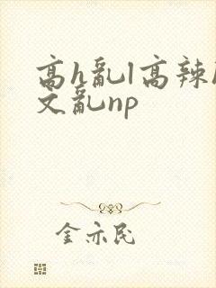 高h乱l高辣h文乱np封面