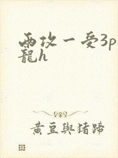 两攻一受3p双龙h