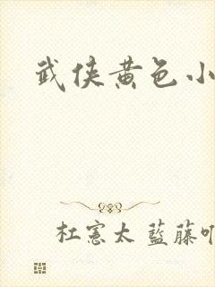 武侠黄色小说封面