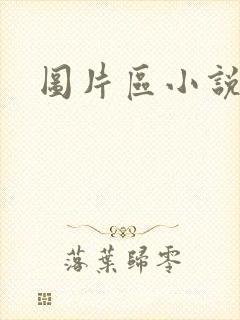 图片区小说区