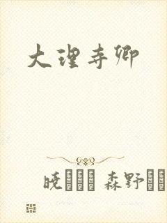 大理寺卿