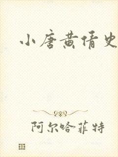 小唐黄倩史