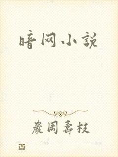 暗网小说