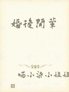 婚后开荤封面