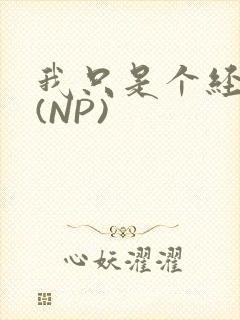 我只是个经纪人(NP)