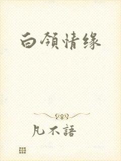 白领情缘