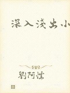 深入浅出小说