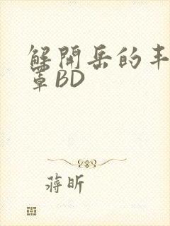 解开岳的丰满奶罩BD封面