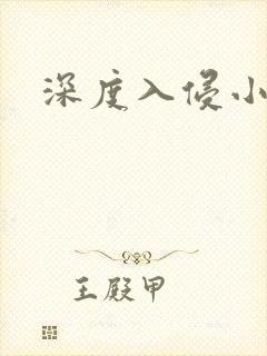 深度入侵小说