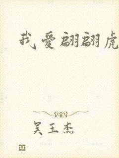 我爱翩翩虎少封面