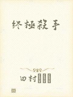 终极杀手