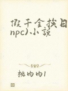 假千金挨日记(npc)小说