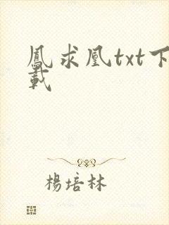 凤求凰txt下载