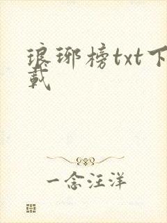 琅琊榜txt下载封面