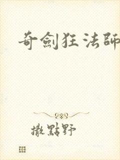 奇剑狂法师封面