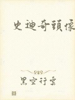 史迪奇头像