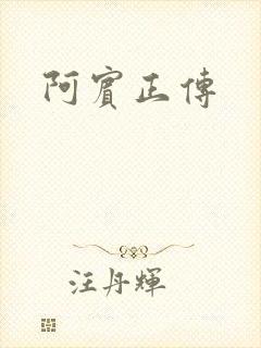 阿宾正传