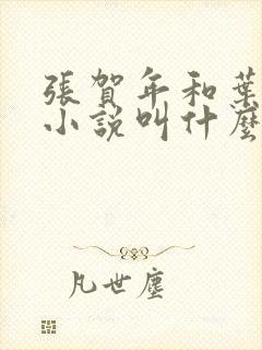 张贺年和叶繁姿小说叫什么名字封面