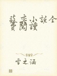 苏奕小说全文免费阅读封面
