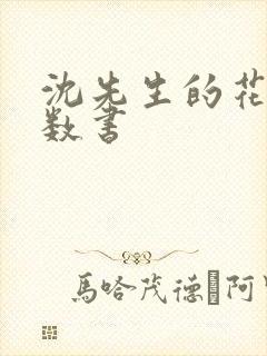沈先生的花式调数书