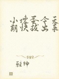 小坏蛋今天危险期快拔出来