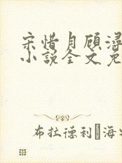 宋惜月顾浔渊的小说全文免费阅读