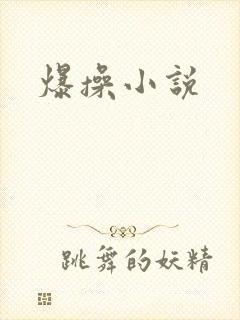 爆操小说