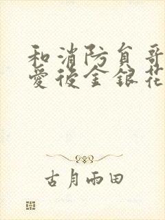 和消防员哥哥恋爱后金银花趣笔阁封面