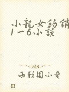 小龙女的销魂夜1一6小说封面