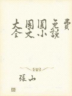 大团圆免费阅读全文小说