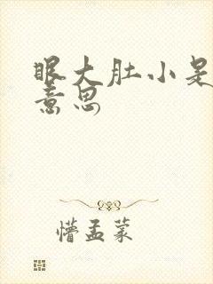 眼大肚小是什么意思