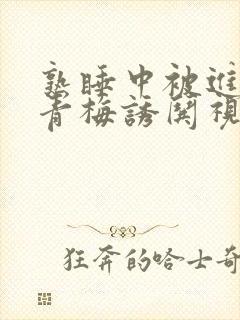 熟睡中被进了H青梅诱哄视频