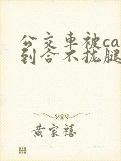 公交车被cao到合不拢腿视频