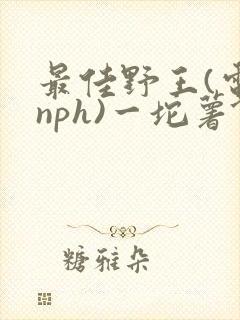 最佳野王(电竞nph)一坨薯饼
