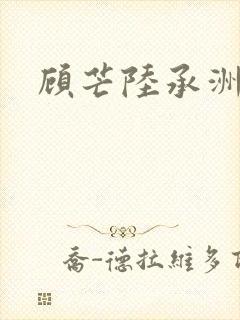 顾芒陆承洲