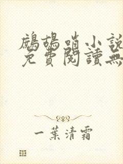 鹧鸪哨小说网站免费阅读无弹窗