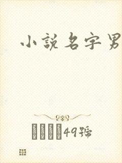 小说名字男生