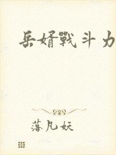 岳婿战斗力封面