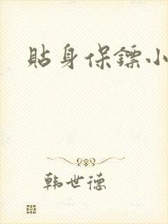 贴身保镖小说