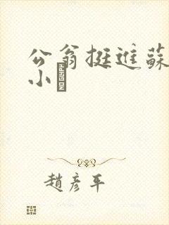 公翁挺进苏玥的小泬封面