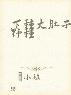 下种大肚子怀孕野种