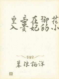 皇帝在御花园进入贵妃的小说